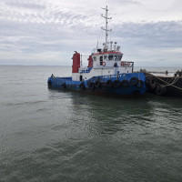 CORMORANT 7